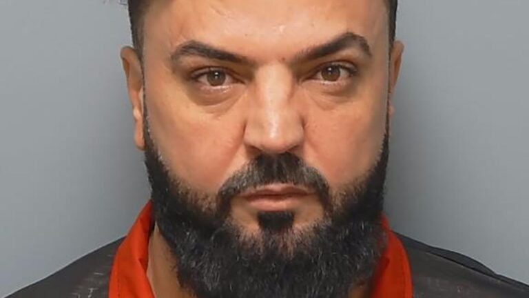 People smuggler who transported hundreds of illegal migrants to UK jailed | UK News