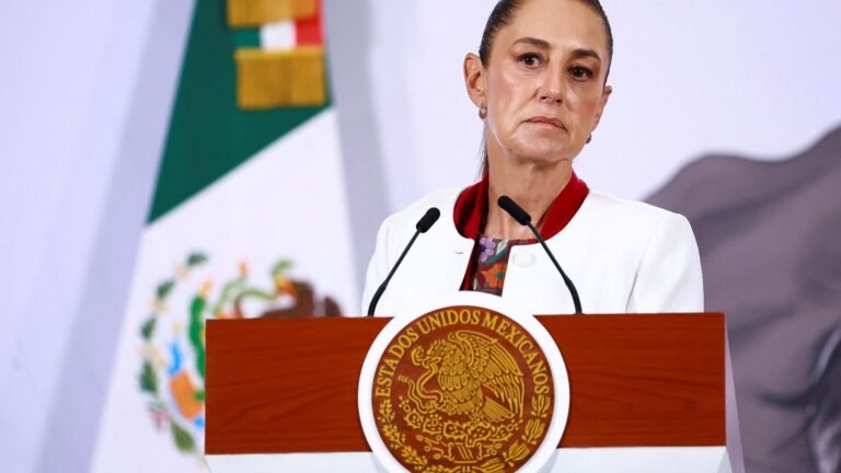 World Cup fans visiting Mexico face ‘no risk’ after cartel violence, says president | World News