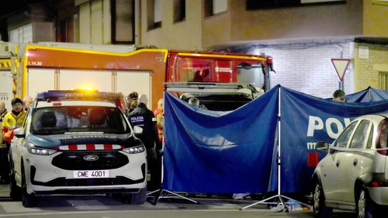 Five dead after fire at apartment building in Spain | World News