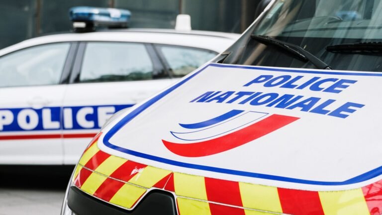 DNA found on gun is match to both identical twins – so who is the killer? | World News