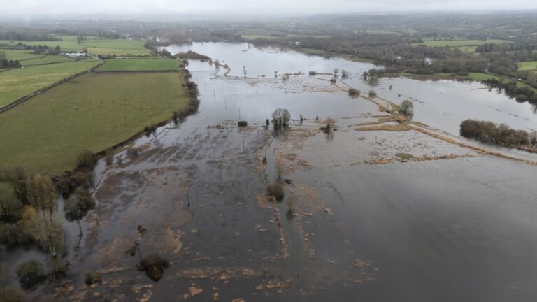 Over 80 flood warnings issued in UK as more downpours expected | UK News