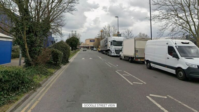 Two men and a woman arrested after man in his 20s stabbed to death in Valley Retail Park in Croydon | UK News