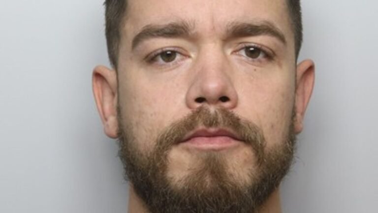 XL bully owner James Harrison Trimble-Pettitt jailed for five years after Ian Price mauled to death in front of his wife | UK News