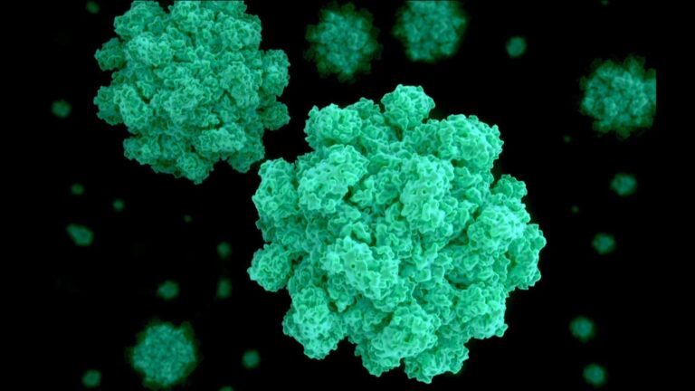 Number of norovirus patients in England at highest level this winter, as NHS warns of ‘second surge’ | UK News