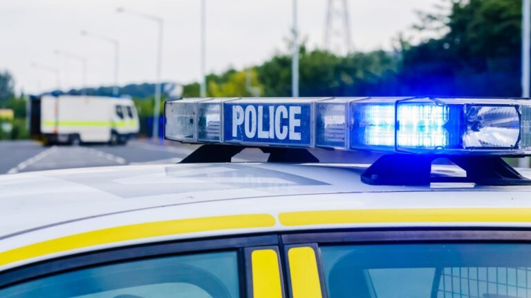 Convicted robber who absconded prison is found | UK News