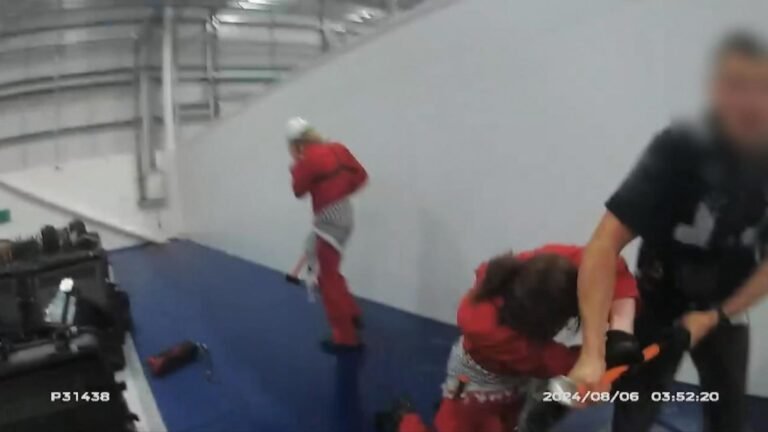 Six Palestine Action activists cleared of aggravated burglary at Israel-linked defence firm | UK News