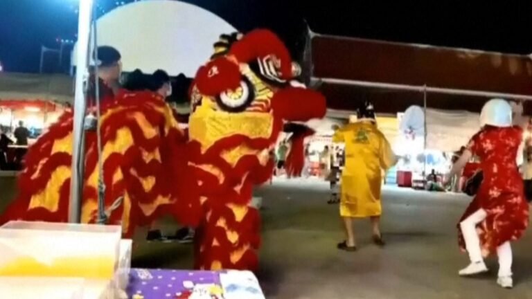 Undercover Thai police go dancing in lion costume to catch serial burglar | World News