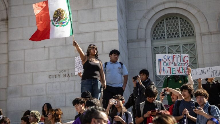 Schools orchestrate ICE walkouts as teacher unions weaponize their students