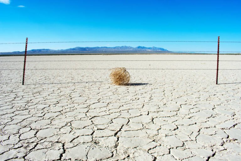 PCs, phones to get more boring, expensive in 2026 • The Register