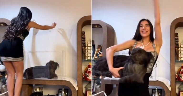 Pet dog died, woman froze it and decorated it in glass, started demonstrating on social media!