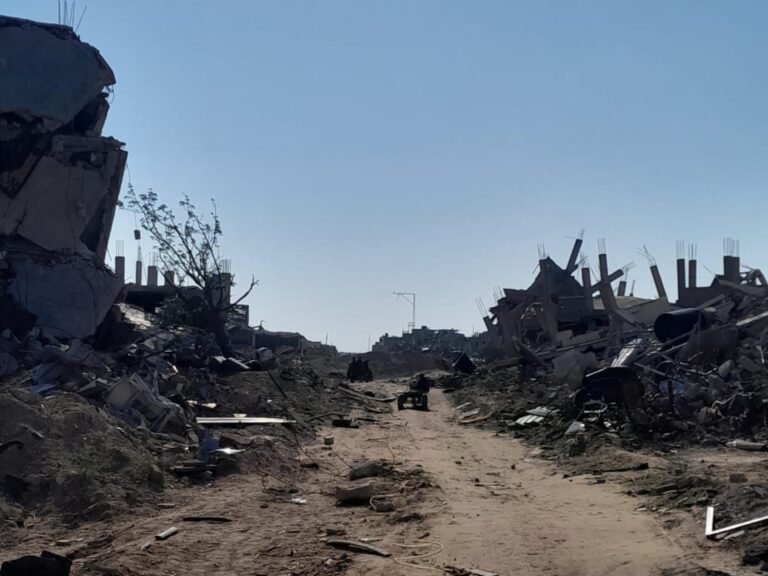 Green and Yellow: Two lines that separate me from my land | Israel-Palestine conflict