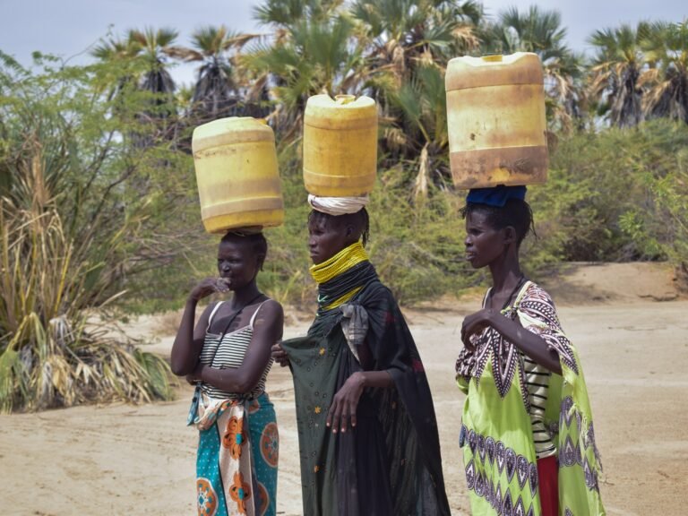 ‘How do I survive?’ Drought plagues Kenya’s Turkana amid surplus elsewhere | Drought News