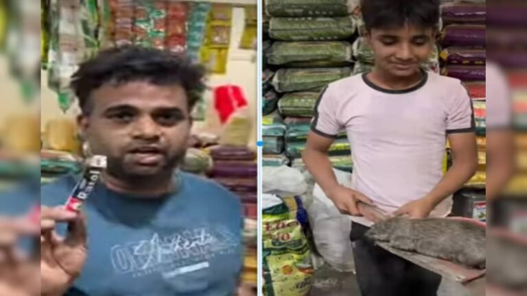 The rat was ruining the grain of the merchant’s shop, the person brought poison, was shocked after two days