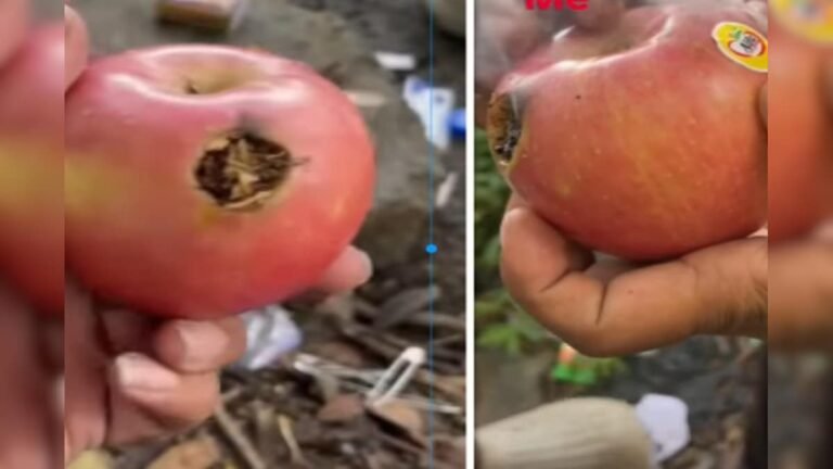 Only Bihari can do this! Filled tobacco in apple, made healthy chillim!