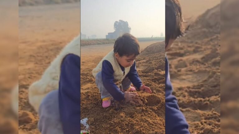 The desire to eat toffee was so much that a little girl planted a ‘toffee tree’, the idea won people’s hearts.