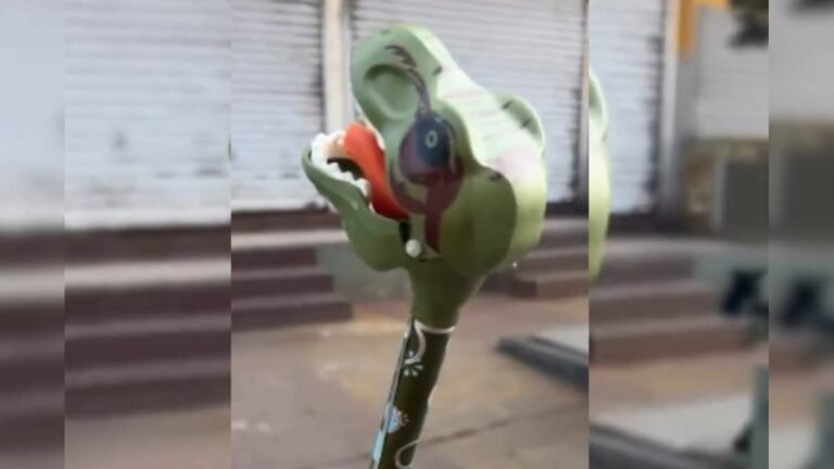 Unique Pichkari comes in the market before Holi, you will feel like buying it as soon as you see it