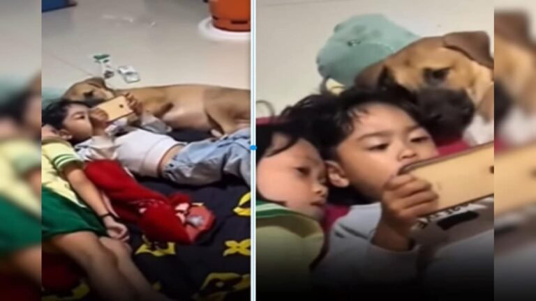 The dog was in the kitchen with the children, all three did such a thing, the mother made a cute video