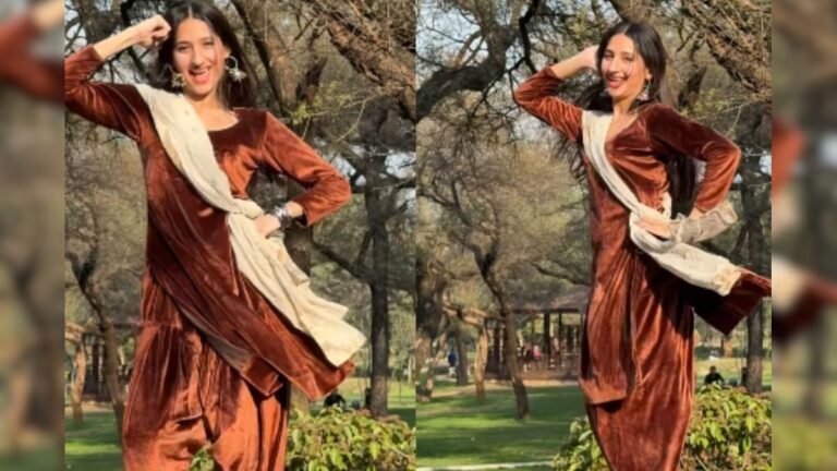 The girl’s spectacular dance in a bright brown suit, energy and moves on a Punjabi song won people’s hearts!