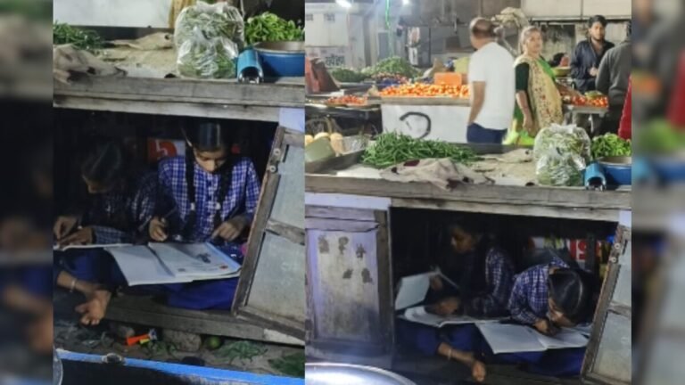 Father is busy selling vegetables, daughters are studying sitting under the cart, everyone got emotional after watching the video!