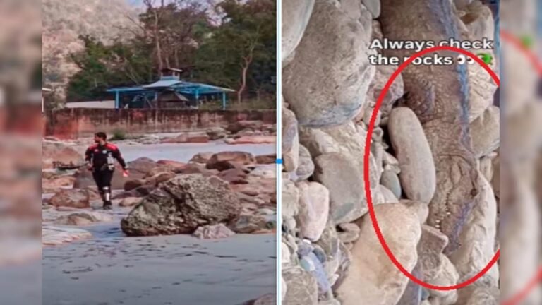 Was making a reel with tension near the rocks, the cameraman zoomed in, everyone was shocked!