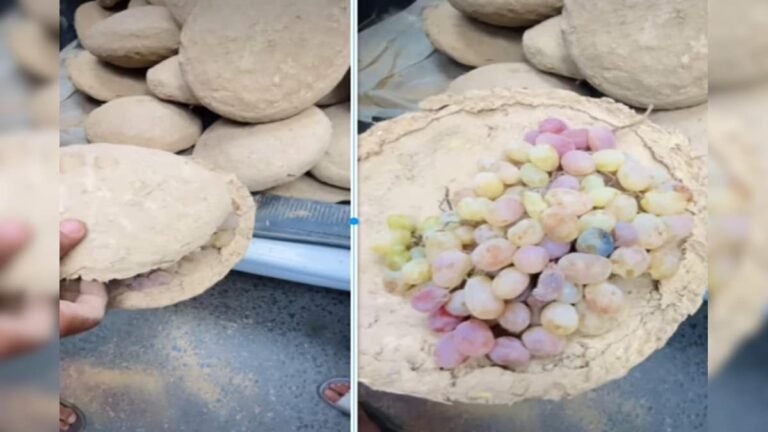 This clay bowl is a natural fridge, people store grapes inside, it remains fresh for 6 months