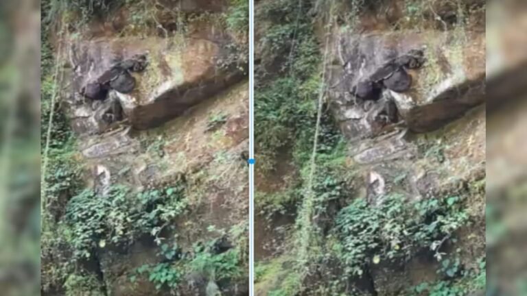 Suddenly the rock came alive! ‘Heart’ started beating, amazing view seen from below