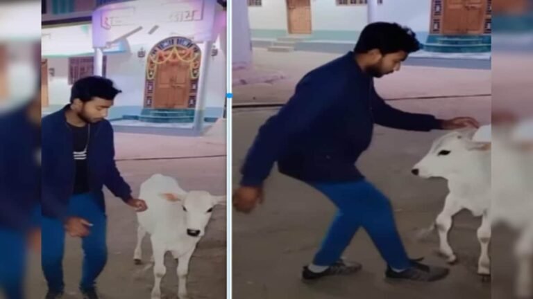 AI calf did a great dance, danced fiercely on Chamma-Chhamma, people were sitting in applause