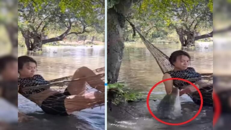 Was having fun in the lake with her lover, then crocodile jumped on her body, made a big mistake due to panic