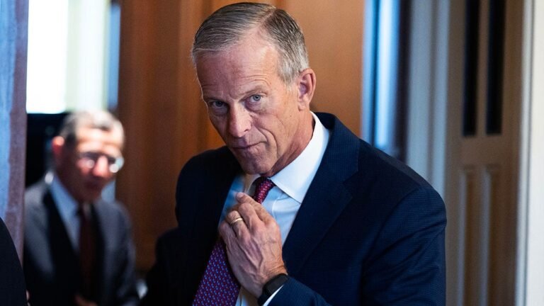 John Thune warns cyber operations at risk while pushing Trump’s SAVE America Act