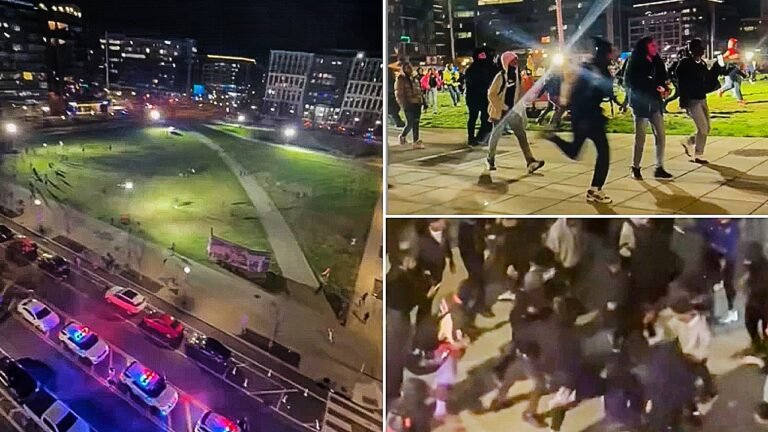 YEMISI EGBEWOLE: Teen mob chaos in DC exposeS hard truth blue cities refuse to confront