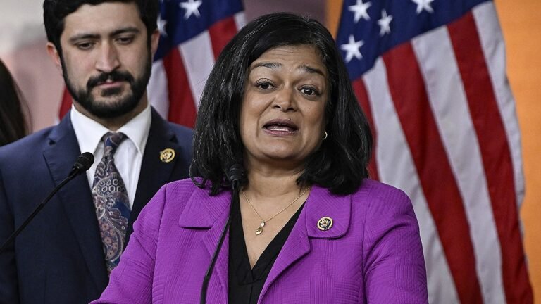 Rep Jayapal says ICE agents have no place at airports amid DHS shutdown