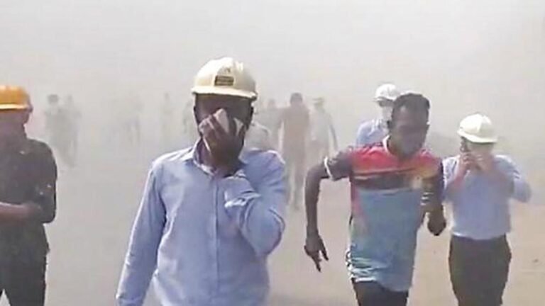 Bhageria Industries reports temporary disruption at Palghar plant after oleum tank leak