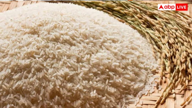 Bandar Abbas Port stalled due to US, Israel-Iran war, deepening crisis on India’s Basmati rice export