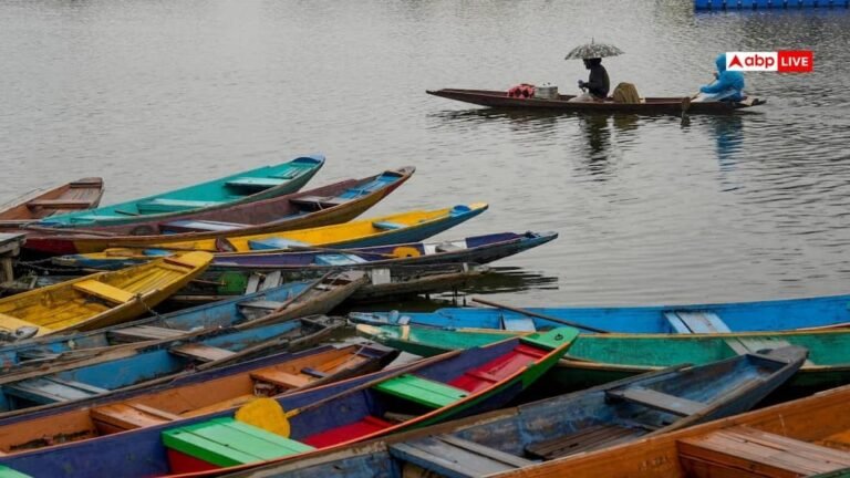 Cold wave like situation due to fresh snowfall and rain in Kashmir, alert issued till March 20