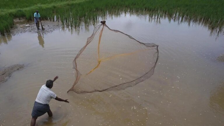 ASMS inks pact with two US firms to develop tech-driven aquaculture and fisheries ecosystems India