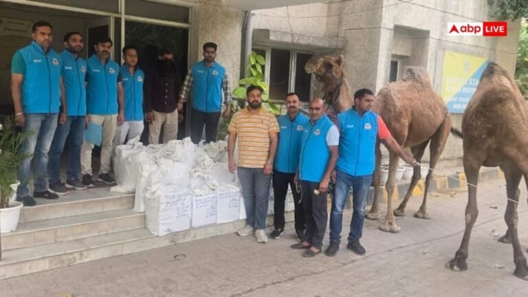 Illegal liquor was coming to Delhi loaded on camels, police caught smuggler