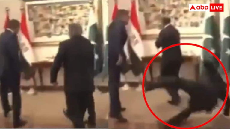 PAK’s Deputy PM Ishaq Dar was going to take a photo with the Egyptian Foreign Minister, fell as soon as he reached the stage, watch video