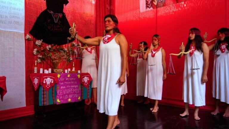 Human rights court orders reparations for forced sterilisation case in Peru | Human Rights News