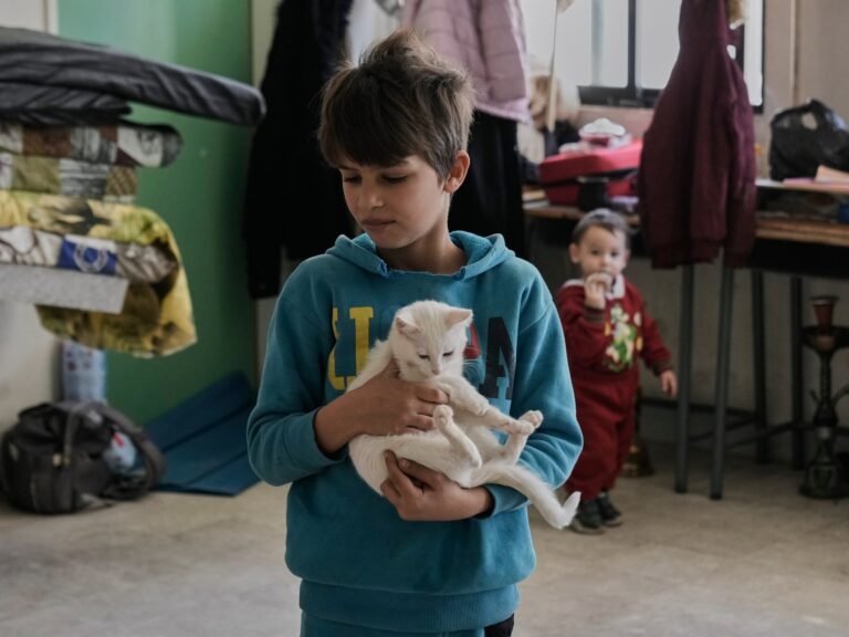 Displaced Lebanese shelter in schools, stadiums amid Israeli attacks | US-Israel war on Iran News