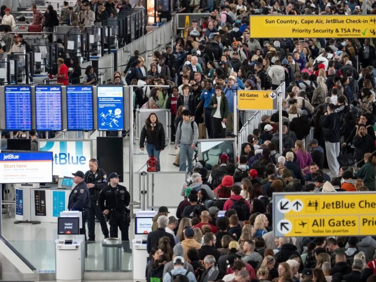 Trump sends US immigration agents to airports as shutdown chaos deepens | Migration News