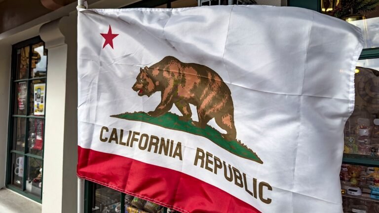 Climate exec warns California ‘functionally bankrupt’ over $1T gap