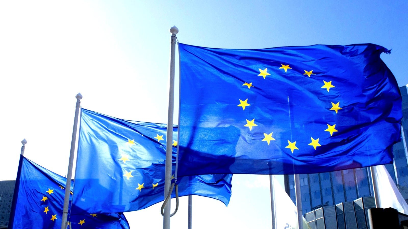 European_Union_flags.jpg