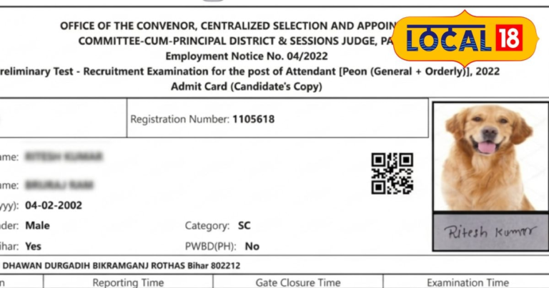 bihar civil court peon exam admit card dog photo viral news rohtas