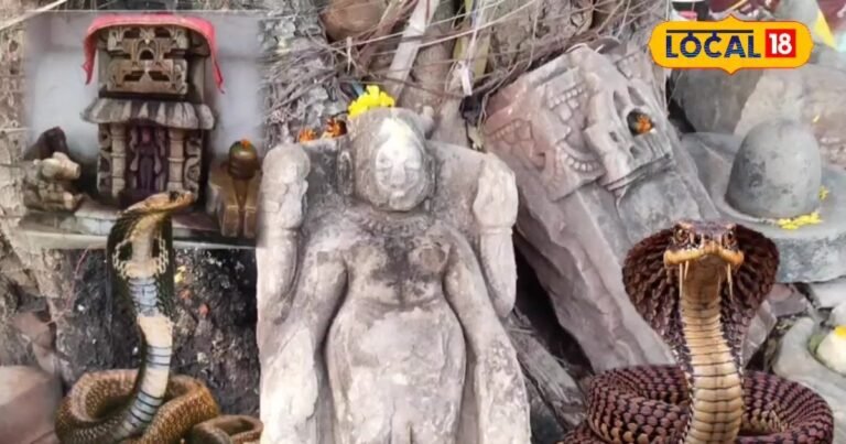 As soon as you dig the ground, cobras come out! 1000 years old secret is hidden in this mound of Bundelkhand