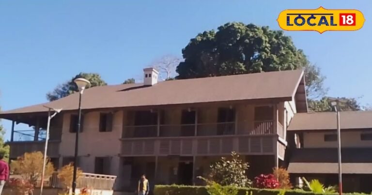 Sir’s daughter, shepherd’s love! Sobs still echo in the valleys of Netarhat, know the truth of Magnolia Point