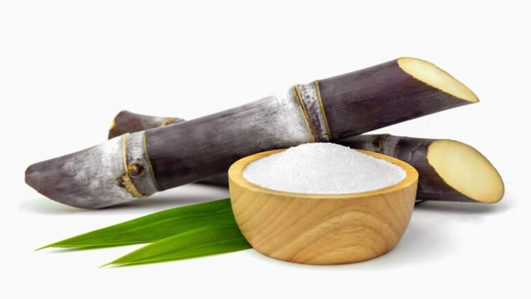 Sugar stocks: Avadh Sugar, Balrampur Chini Mills, Bajaj Hindusthan Sugar jump up to 13% as crude rally boosts ethanol hopes