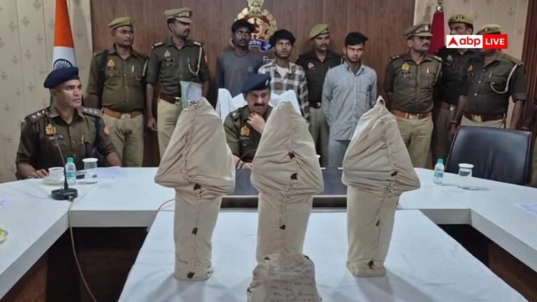 Mahoba News: The youth who had come for the wedding blew up the idols from the temple, police caught them within 72 hours.