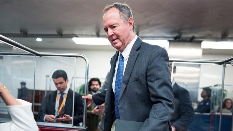 Tricia McLaughlin’s husband demands apology from Senate Democrats over contract accusations