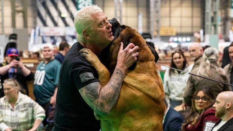 Dustin Rhodes’ mastiff receives award at UK dog show