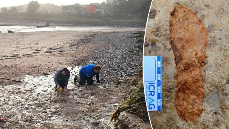 Scotland dog walkers discover 2,000-year-old footprints on Lunan Bay beach